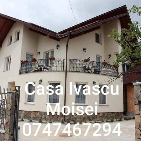 Hotel Casa Ivascu Moisei Zewnętrze zdjęcie