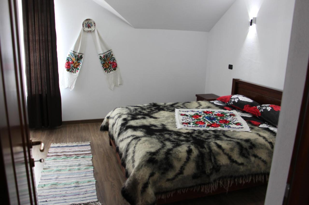 Hotel Popasul Calatorului Moisei Zewnętrze zdjęcie