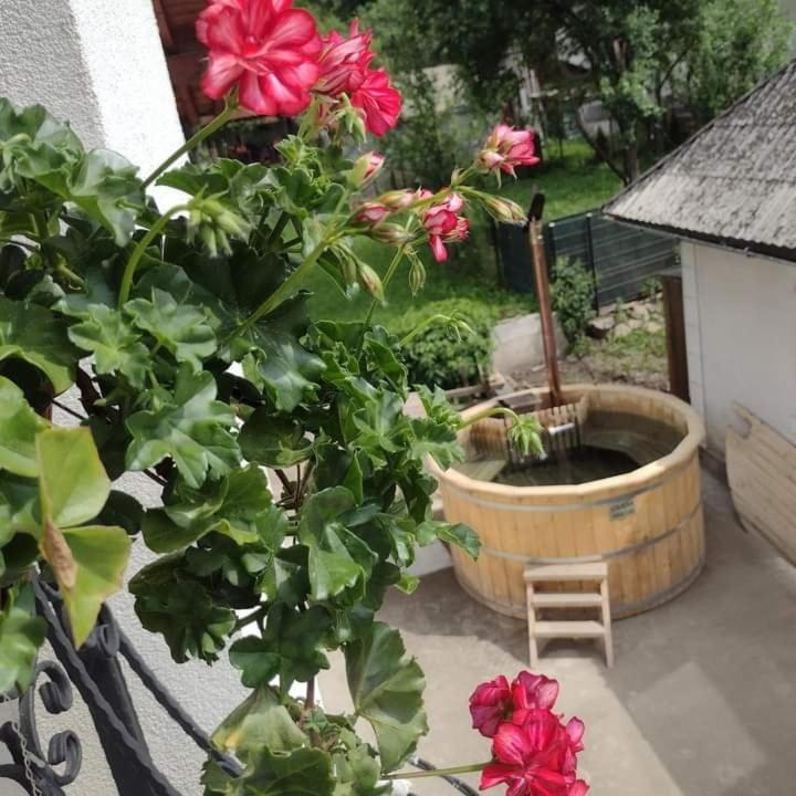 Hotel Popasul Calatorului Moisei Zewnętrze zdjęcie