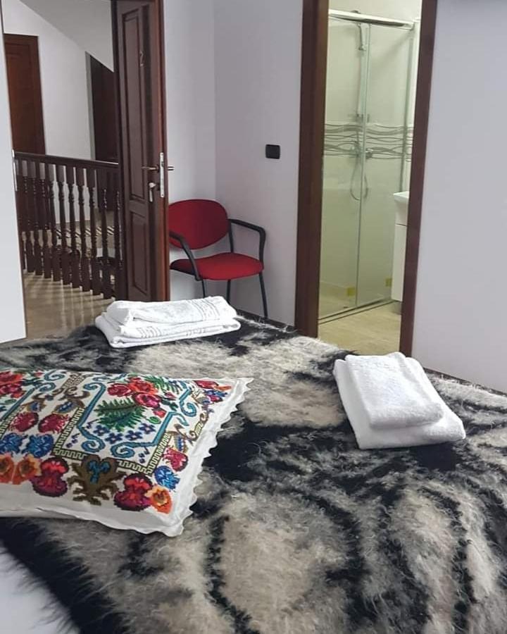 Hotel Popasul Calatorului Moisei Zewnętrze zdjęcie
