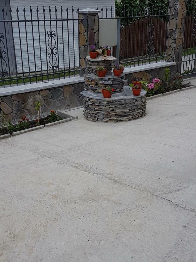 Hotel Popasul Calatorului Moisei Zewnętrze zdjęcie