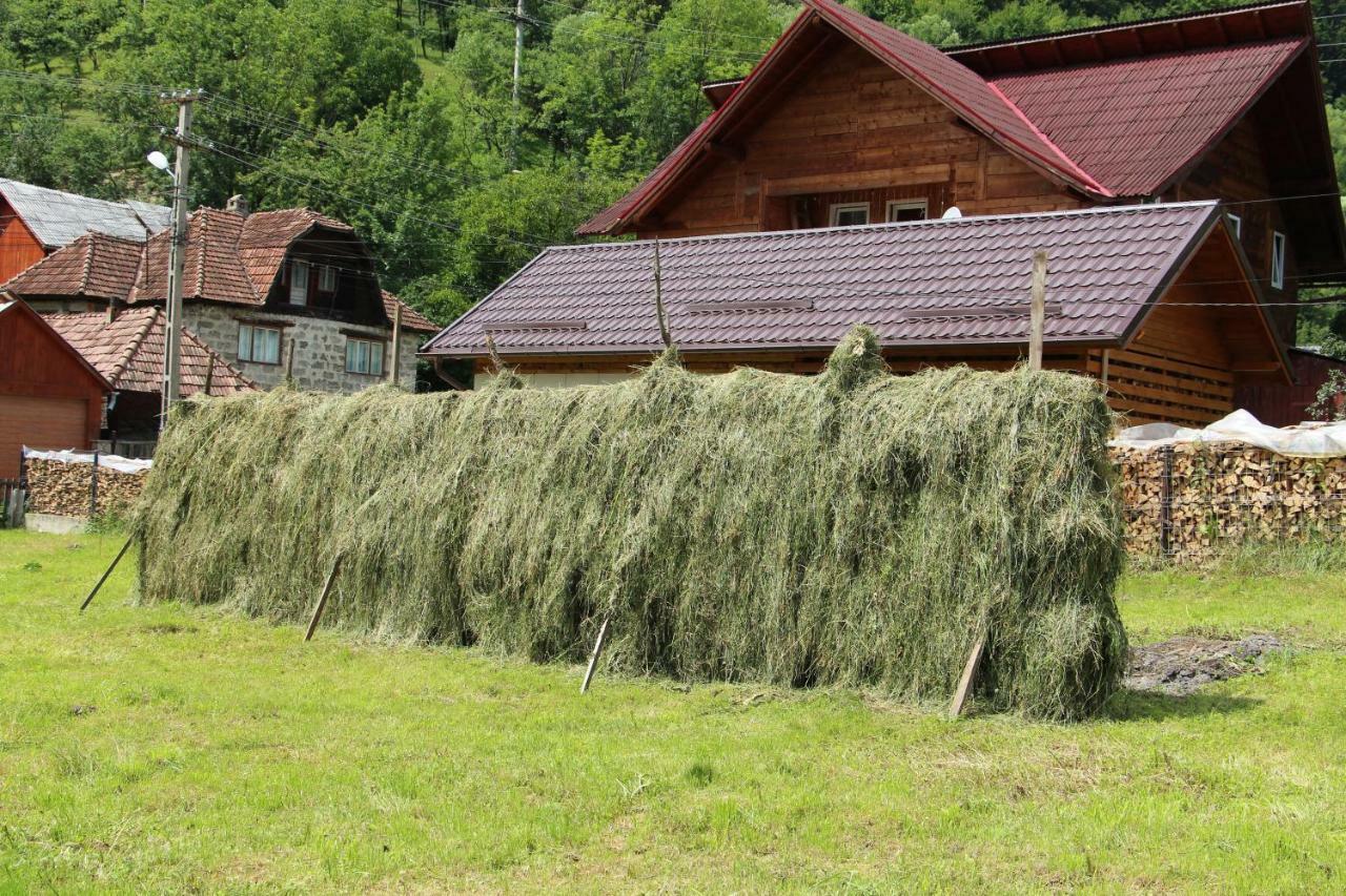 Hotel Popasul Calatorului Moisei Zewnętrze zdjęcie